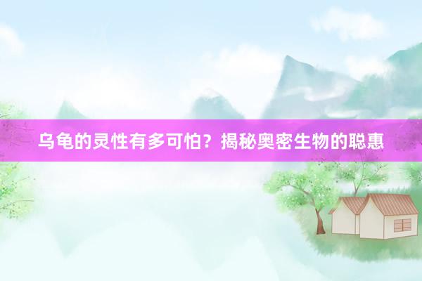 乌龟的灵性有多可怕？揭秘奥密生物的聪惠